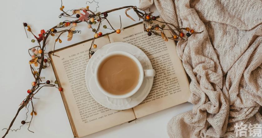 格镜视频转换文字,格镜视频提取音频,格镜视频提取文案,格镜视频提取软件,格镜视频替换