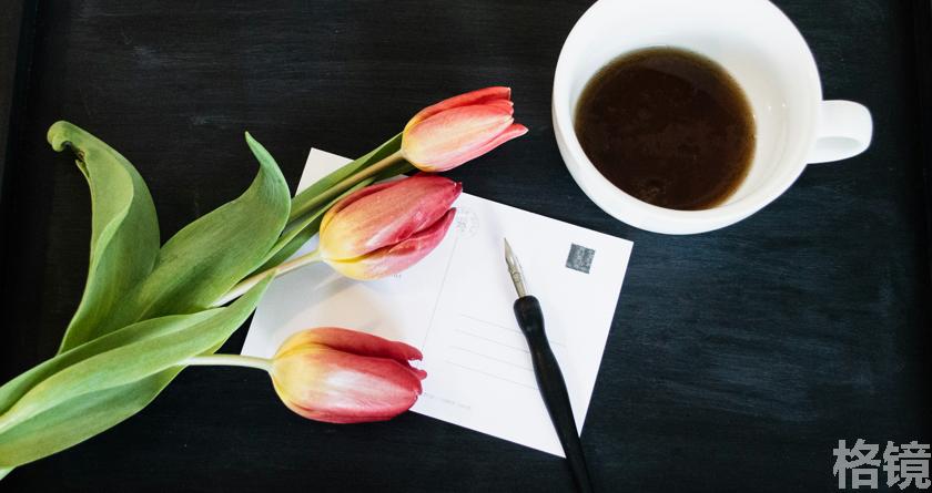 格镜视频转换文字,格镜视频提取音频,格镜视频提取文案,格镜视频提取软件,格镜视频替换