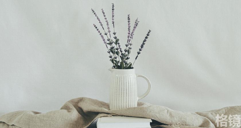 格镜视频转换文字,格镜视频提取音频,格镜视频提取文案,格镜视频提取软件,格镜视频替换