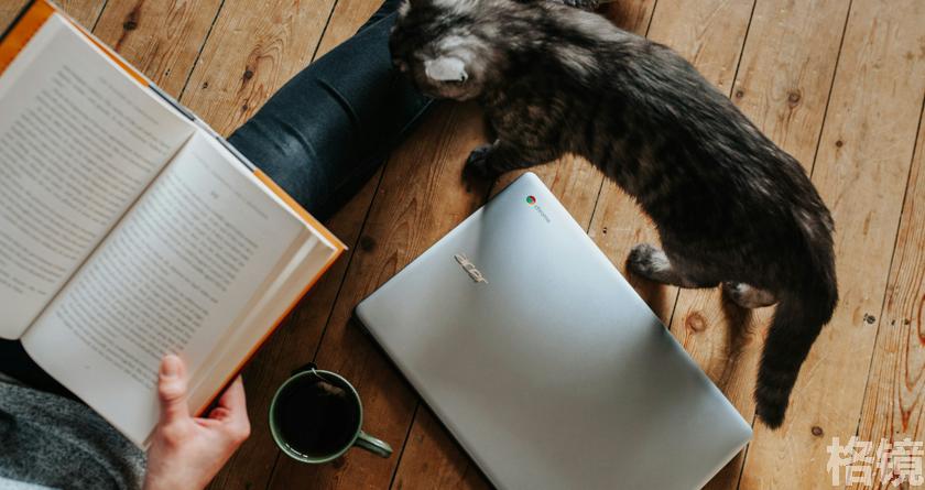 格镜视频转换文字,格镜视频提取音频,格镜视频提取文案,格镜视频提取软件,格镜视频替换